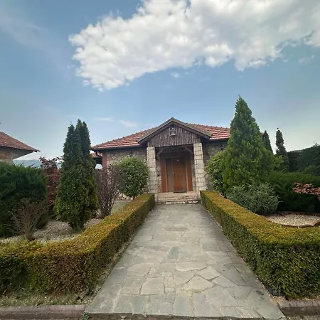 Villa Laci Private Poll Billiard Garden *